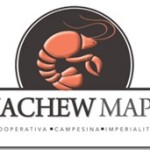 Machew Mapu de Imperialito lanzará inédito proyecto para fortalecer la explotación del camarón de vega